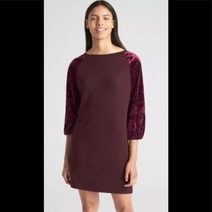 Gap NWT knit dress with velvet sleeves.Size M